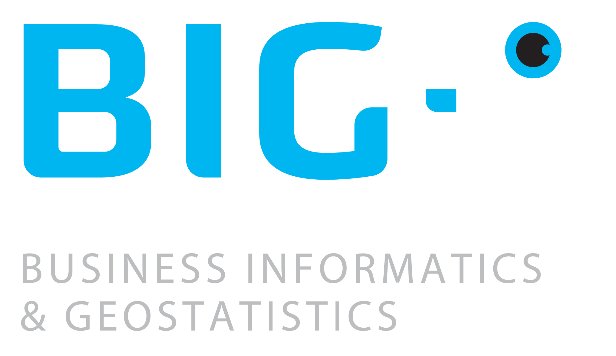 BIG-i Business Informatics & Geostatistics